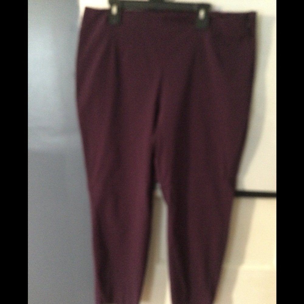 Women’s ankle length pants